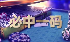 有材料的软件升级码是什么V