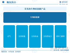 【研究演讲】2025年中国生物质能源行业市